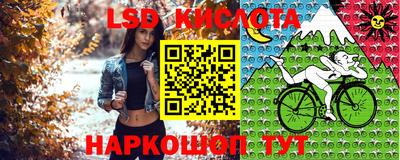 Альфа ПВП Тара