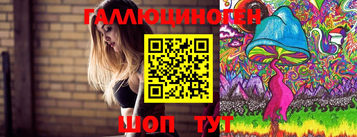 Псилоцибиновые грибы Psilocybe Нижневартовск