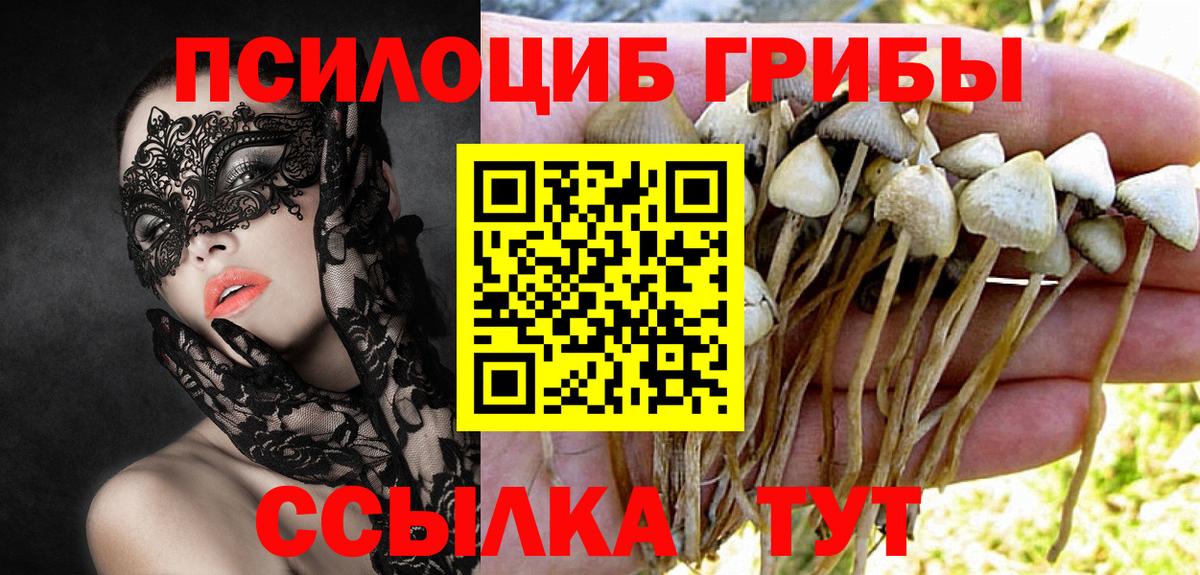 Псилоцибиновые грибы Cubensis  Вход с VPN  Нижневартовск 